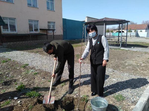 Тәуелсіздігіміздің 30 жылдық мерекесіне орай 30 жеміс ағашы