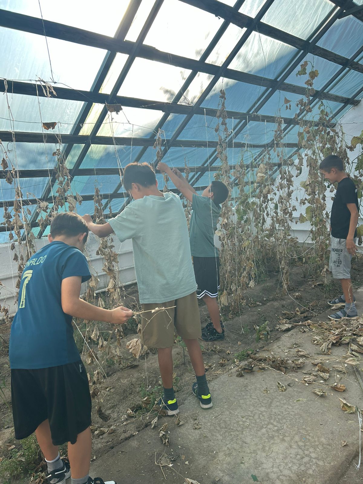 “Жылыжайда өсірілетін жемістердің өнімділігі” жобасы