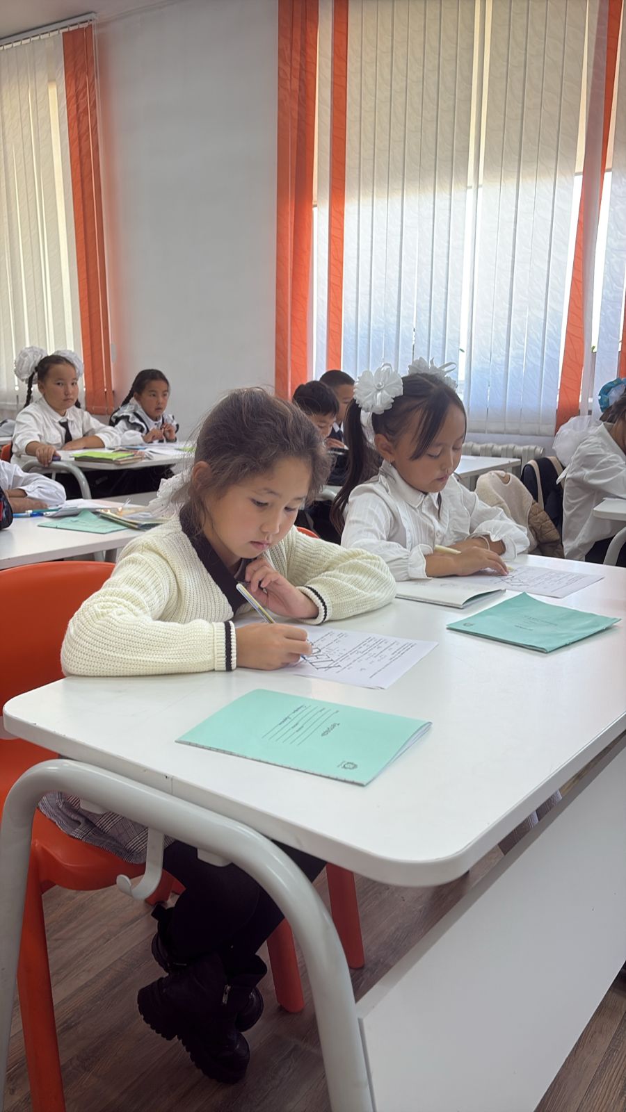 «Алтын сақа» олимпиадасы